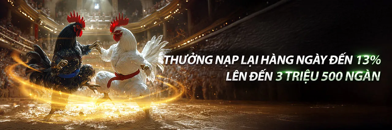Đá gà f8be - Trải nghiệm cá cược trực tuyến đỉnh cao